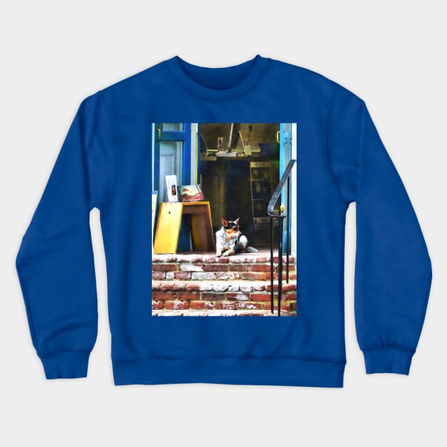 Alexandria VA - Corgi Relaxing in Front of King St. Art Gallery Crewneck Sweatshirt by SusanSavad